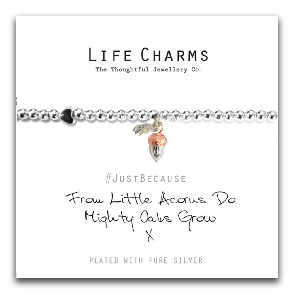 Life Charms..Little Acorns Bracelet