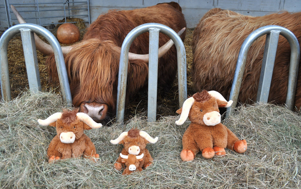 Horny Highland Cow Plush Brown Small Soft Toy - 18cm