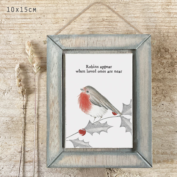 Bird pic-Robin