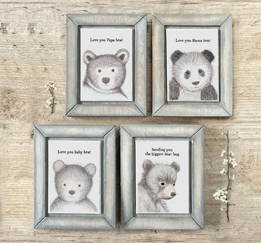 Bear pic-Papa bear love you