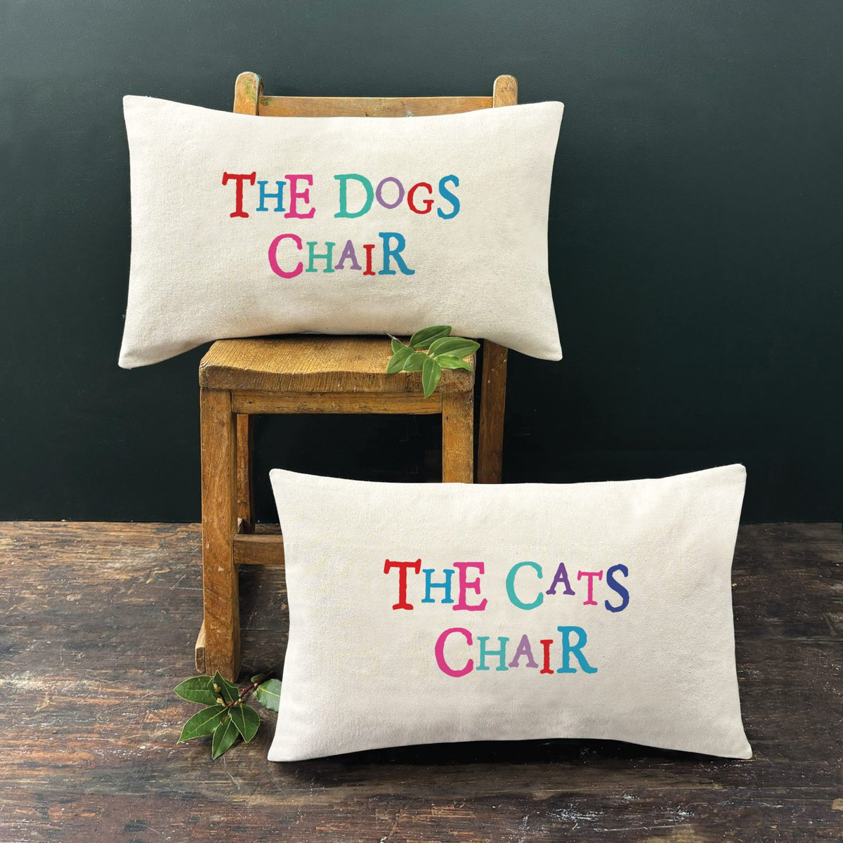 Cushion-The cats chair