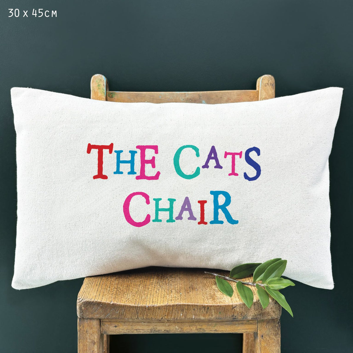 Cushion-The cats chair