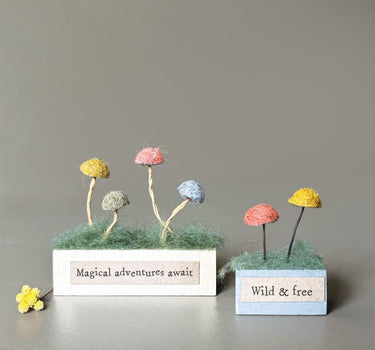 Little mushroom block-Wild and free