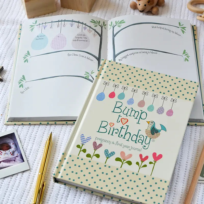 Bump To Birthday A Pregnancy &amp; First Year Journal