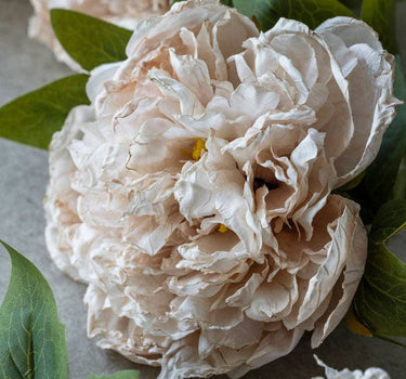 Peony Evening Dew Artificial Flower Stem