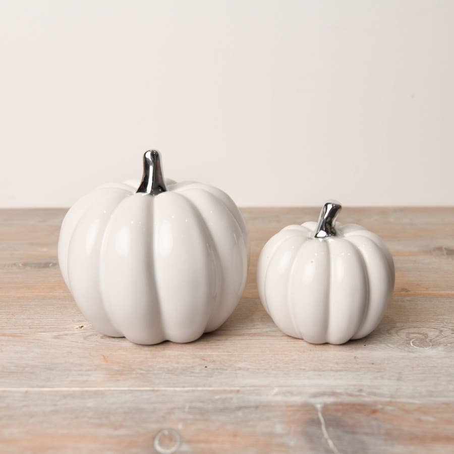 White pumpkin with silver stalk-M