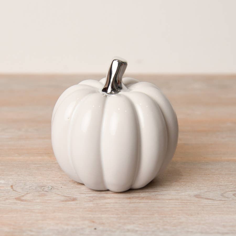 White pumpkin with silver stalk-M