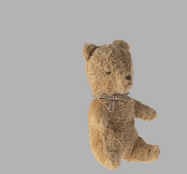 My first teddy - Powder