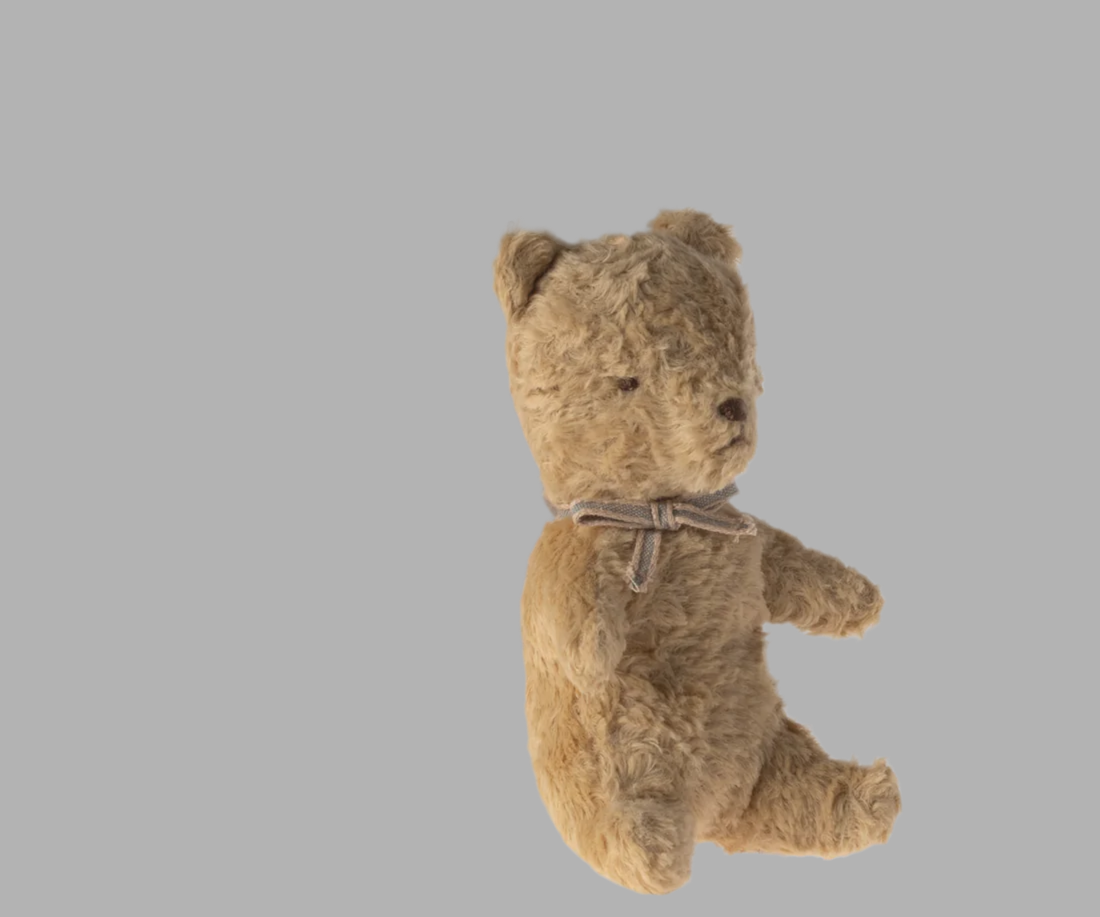 My first teddy - Powder