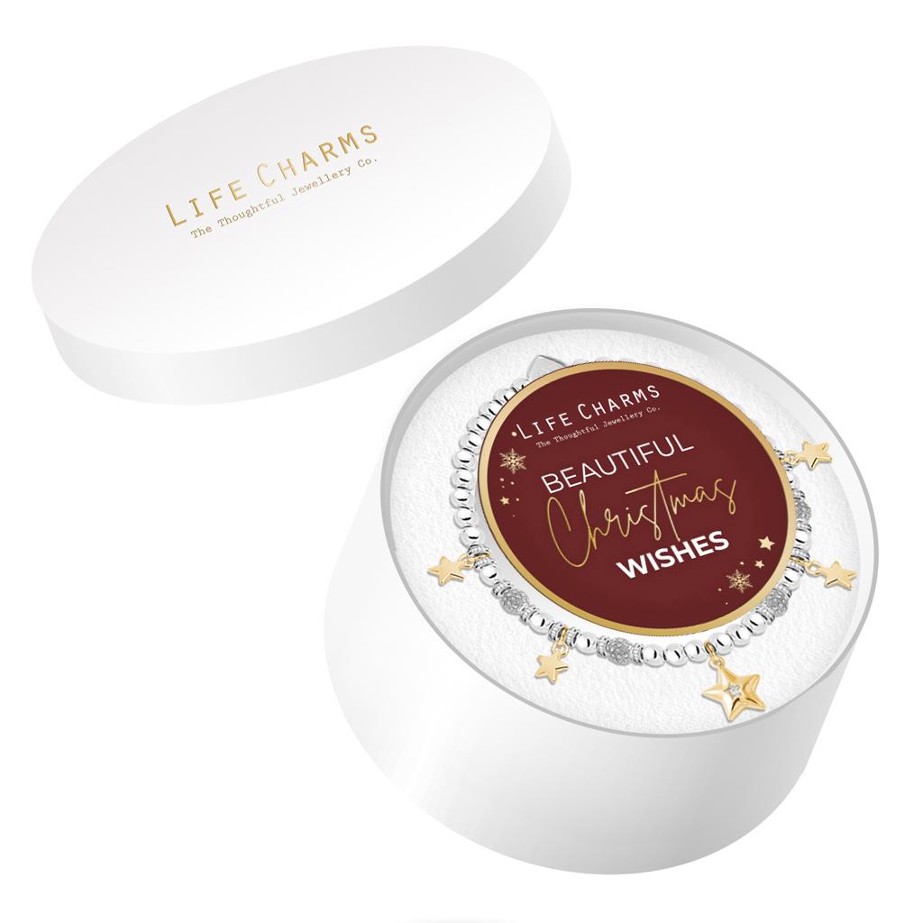 Christmas hat box - Christmas Wishes