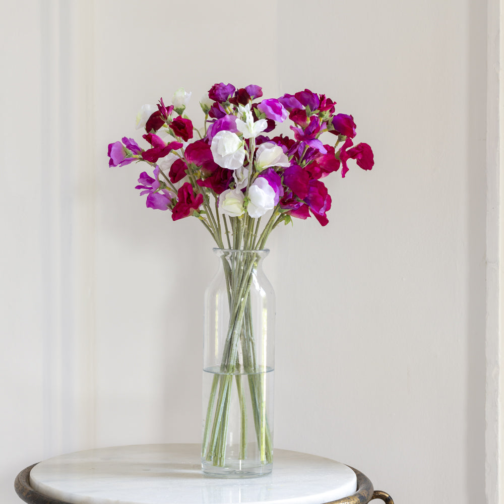Sweet Pea Mixed
