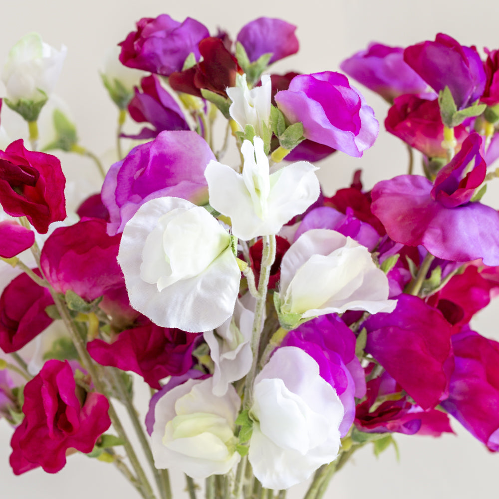 Sweet Pea Mixed