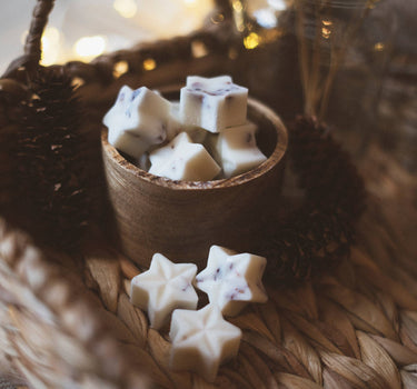 Blackcurrant & Sloe Berries Soy Wax Melts