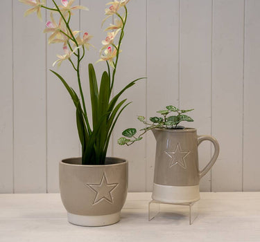 Warm Grey Debossed Star Jug