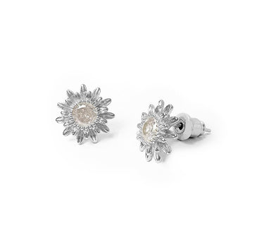 Silver daisy studs
