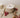 Raspberry & Peppercorn Soy Wax Candle