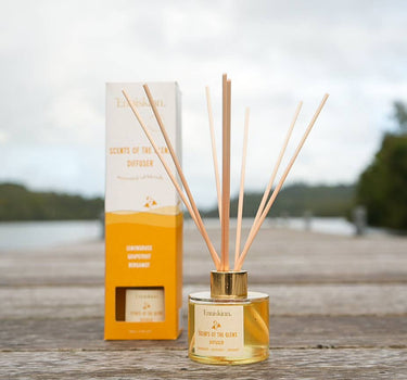 Scents of the Glens - Lemongrass, Grapefruit -Reed Diffuser 