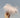 Ostrich Feathers hair claw in Dusty Pink